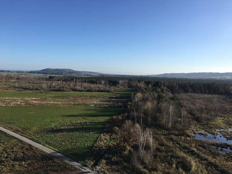 Bannwaldturm Wanderungen und Rundwege komoot