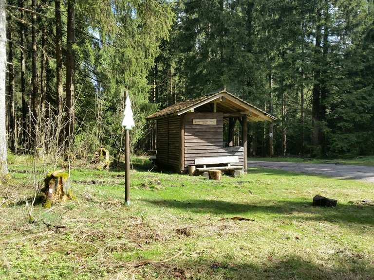Ziegenberger Teich Blick auf Buntenbock Runde von Riefensbeek