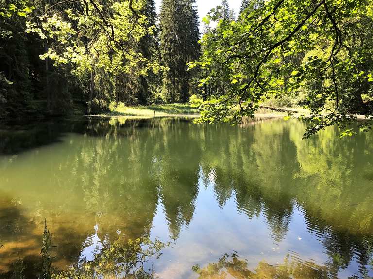 Knöpfelstaler Teich Wanderungen und Rundwege komoot