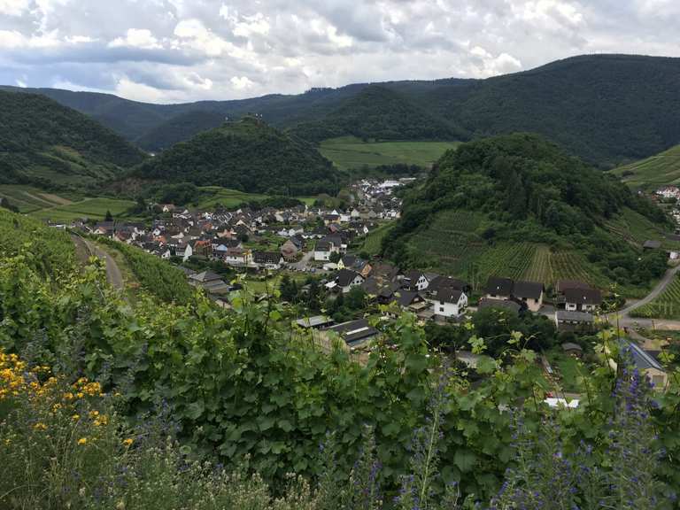Blick auf Mayschoß: Wanderungen und Rundwege | komoot