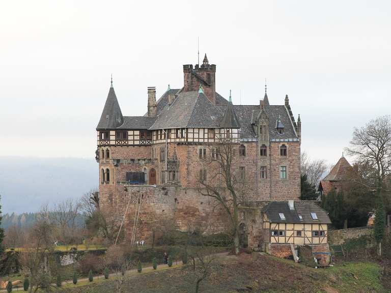 Schloss Berlepsch: Wanderungen und Rundwege | komoot