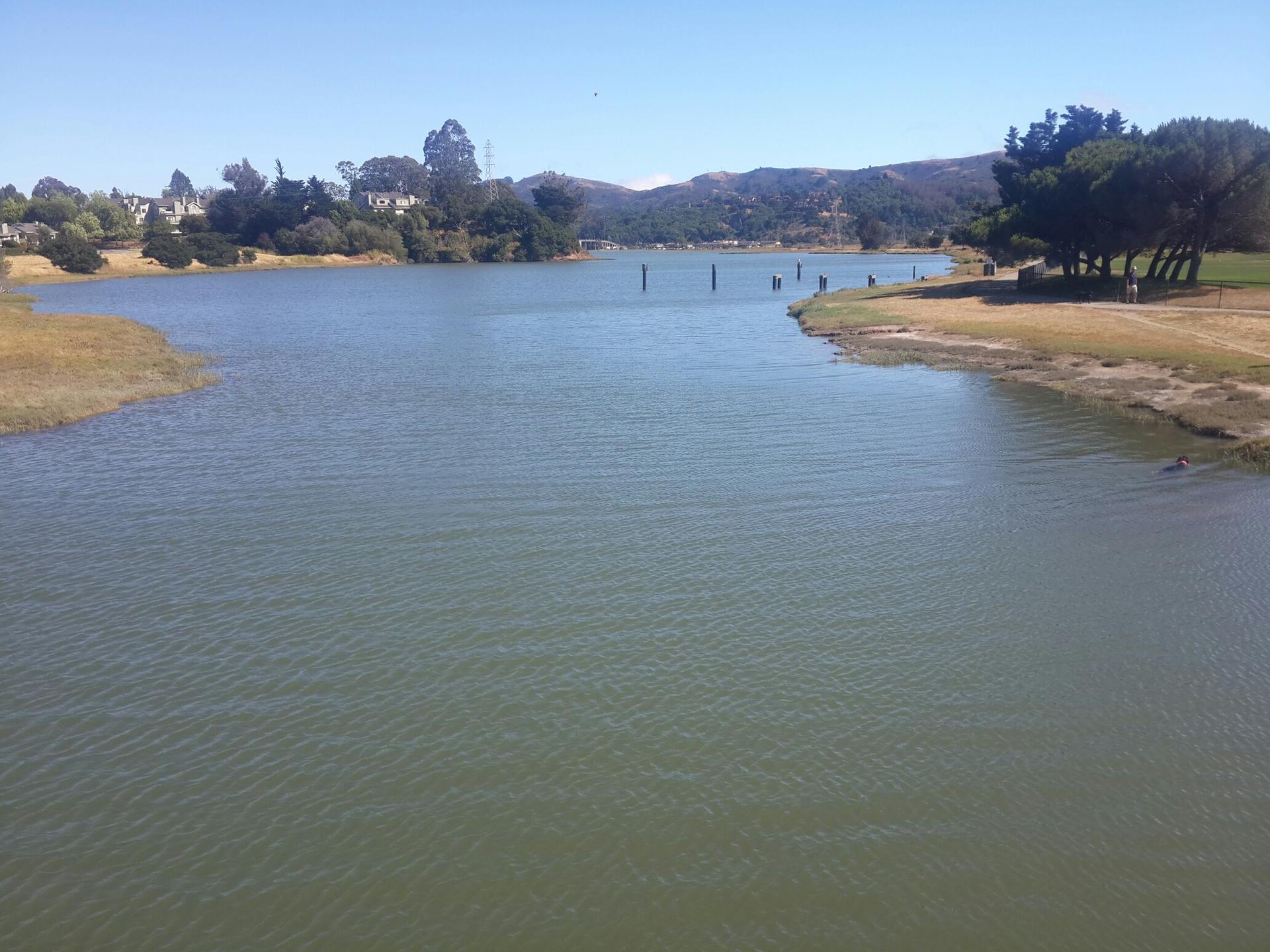 Wide body of water with grassy banks, distant hills under bright sun.