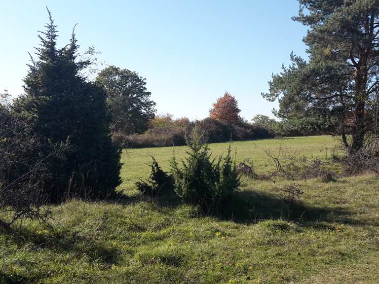 Venusberg Wanderungen und Rundwege komoot