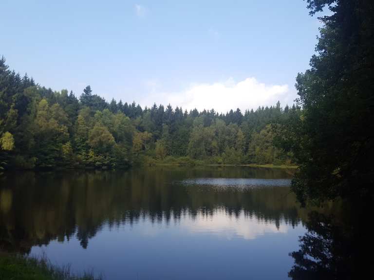BergratMüllerTeich (HWN 190) Routes for Walking and Hiking Komoot