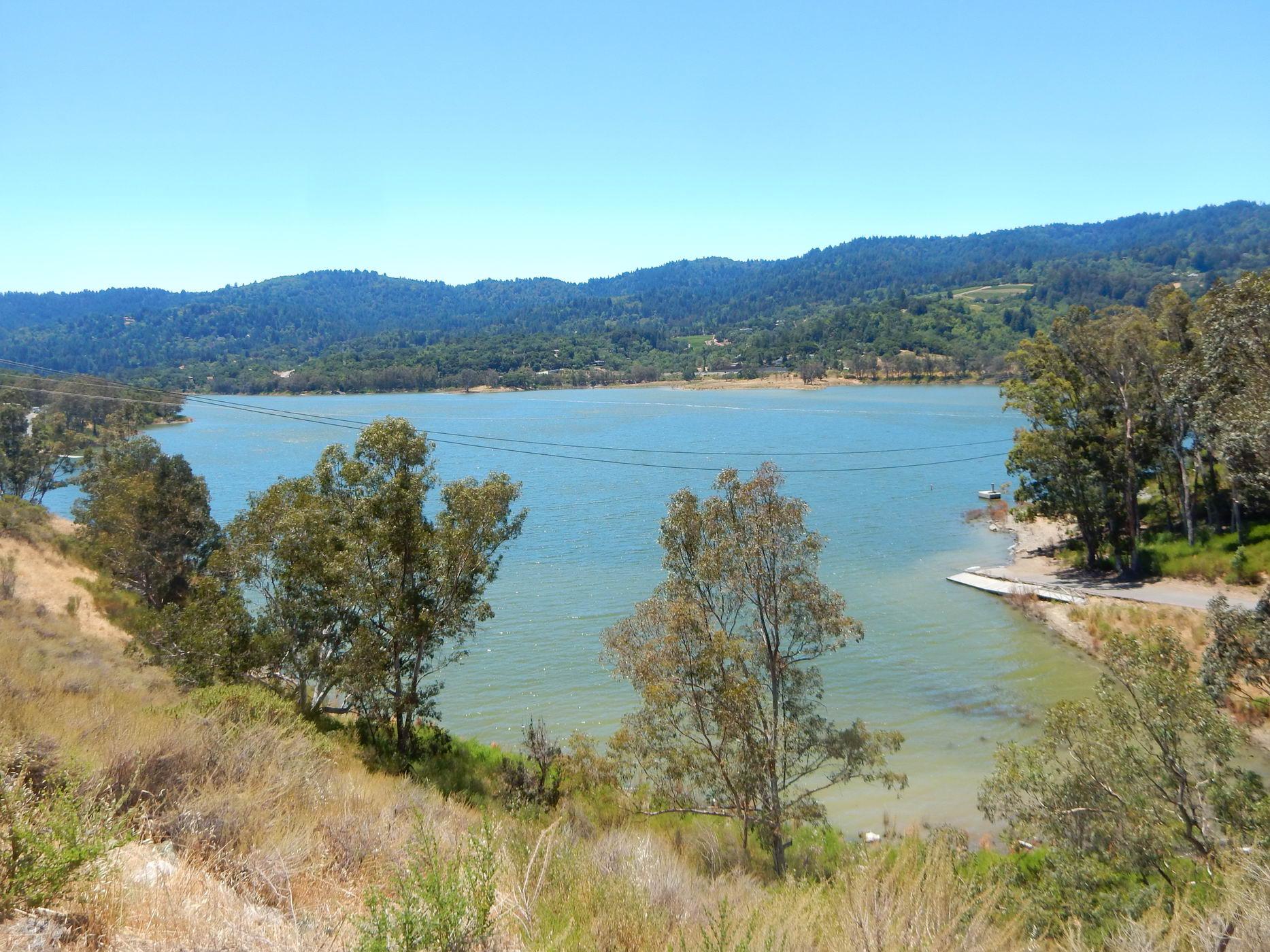Sunny lake with green hills and dry, brushy foreground.