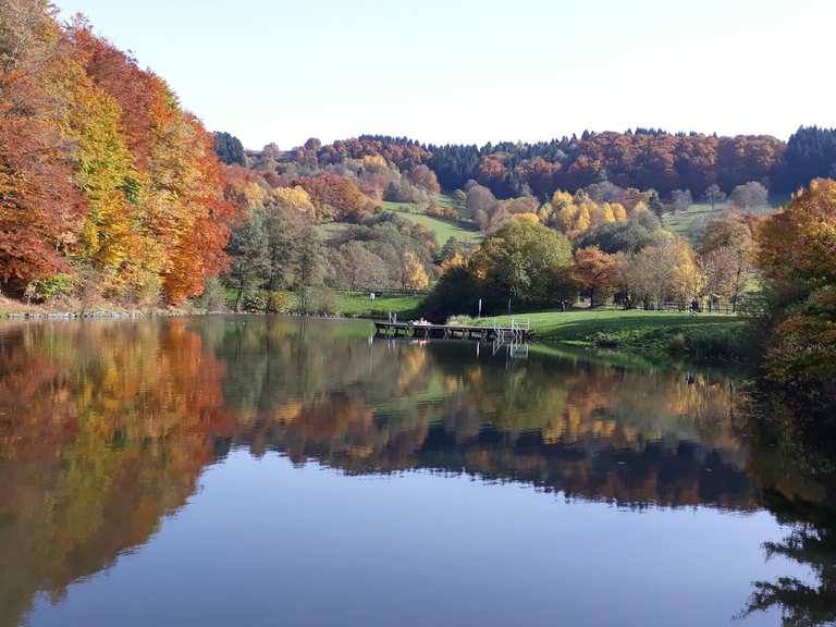 Guckaisee Wanderungen und Rundwege komoot