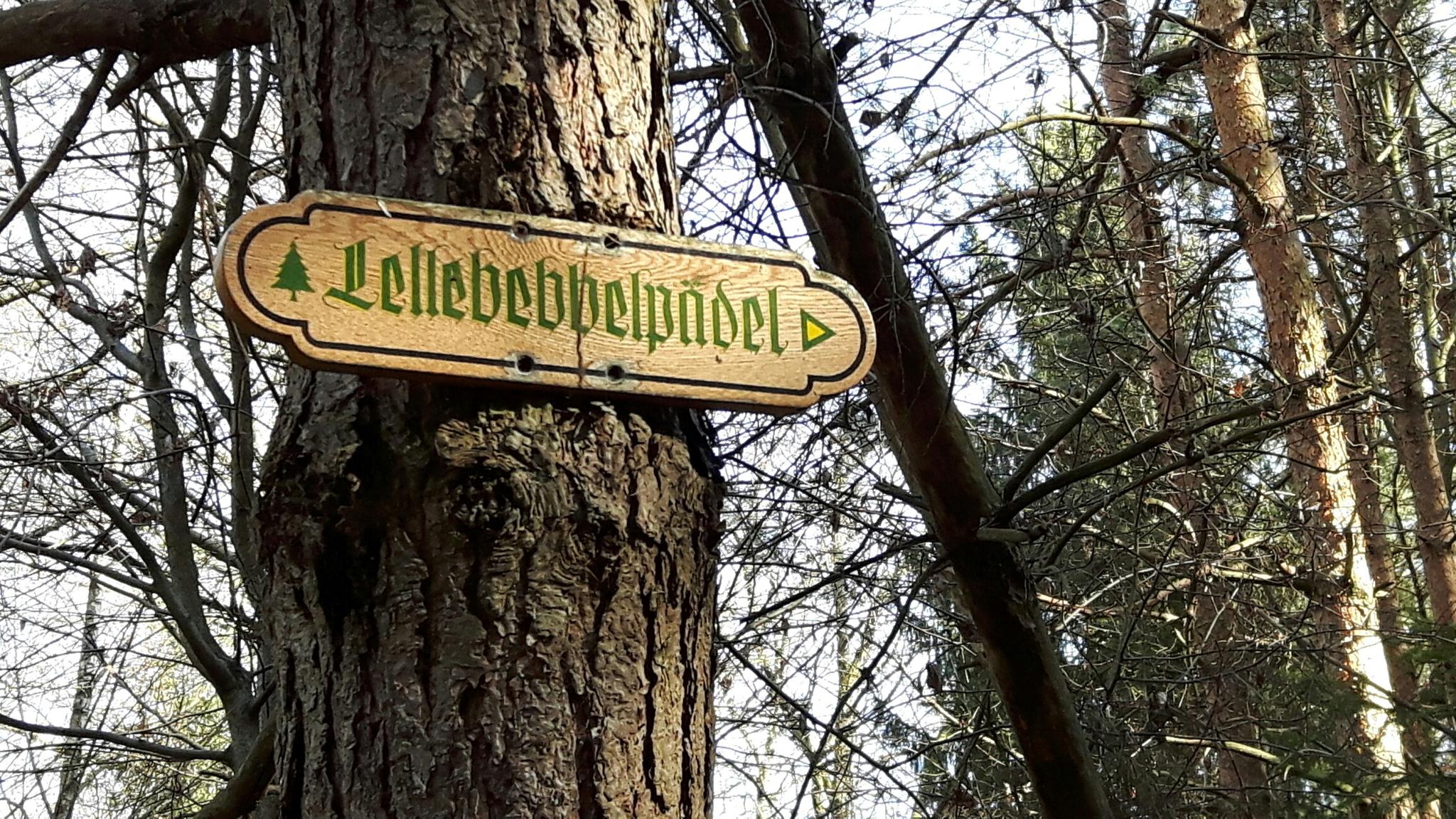 Lambertskreuz Mit PWV-Hütte – Burgruine Neidenfels Runde Von Lambrecht ...