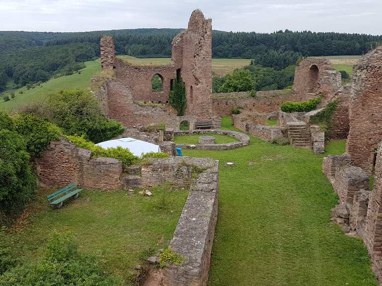Burg Montfort Wanderungen und Rundwege komoot