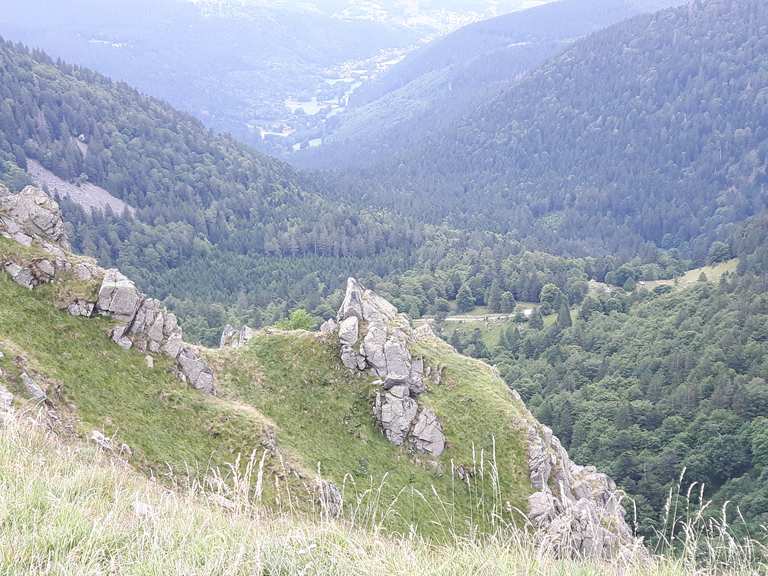 Vue sur Martinswand Wanderungen und Rundwege komoot