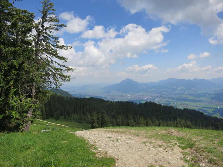 Weiherkopf mit Gipfelkreuz Wanderungen und Rundwege komoot
