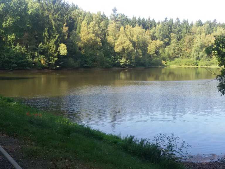 BergratMüller Teich Mountain Bike Trails & Tracks Komoot