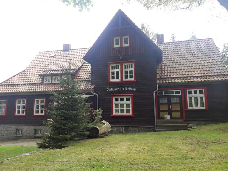 Waldgasthaus Plessenburg (HWN 007): Wanderungen und Rundwege | komoot