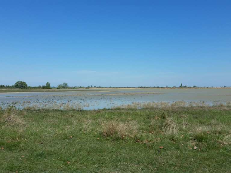 Neusiedlersee Radtouren und Radwege komoot