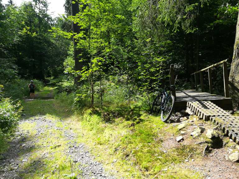 Knöpfelstaler Teich Pista ciclabile dell'Ilmtal vicino a Ilmenau giro