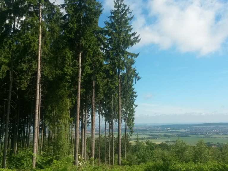Hildesheimer Wald hike Komoot