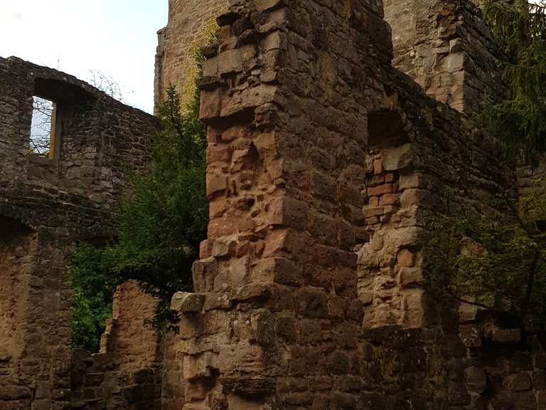 Burgruine Zavelstein Bad Teinach Zavelstein Calw Hiking Tips