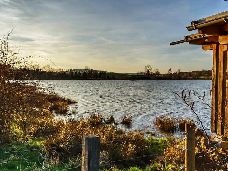 OberMooser Teich Wanderungen und Rundwege komoot