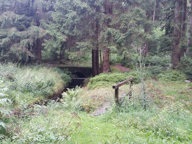Fortuner Teich Wanderungen und Rundwege komoot