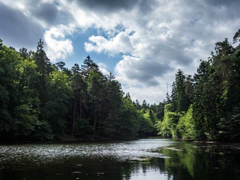 Donoper Teich Wanderungen und Rundwege komoot