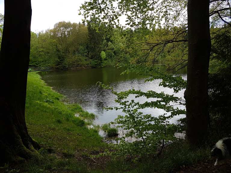 BergratMüllerTeich (HWN 190) Wanderungen und Rundwege komoot