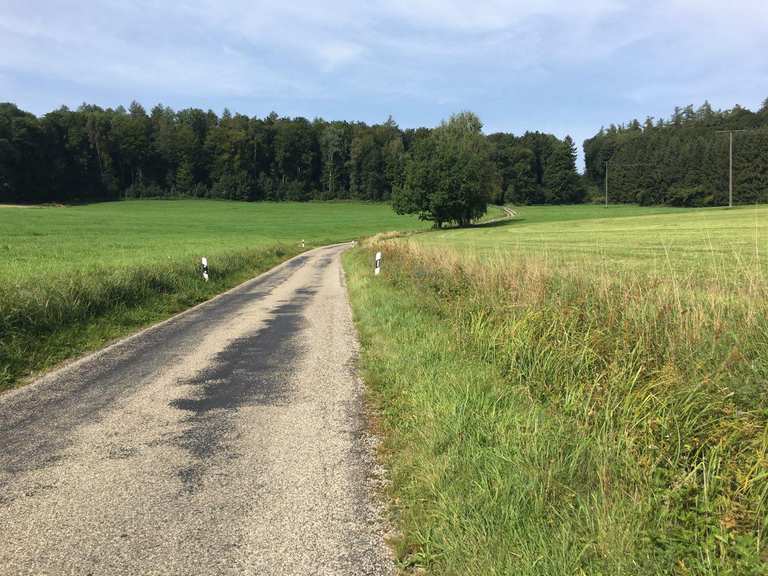 Gradient 16% - Road Cycle Routes and Map | Komoot