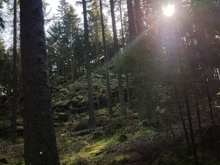 Mauseklippe Schierke Harz Hiking Tips Photos Komoot