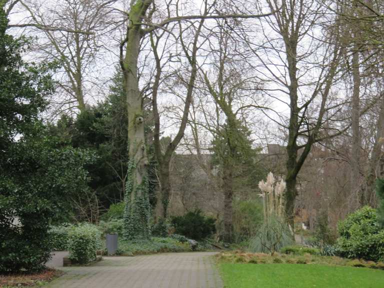 Landschaftspark Duisburg Nord Botanischer Garten Hamborn Loop