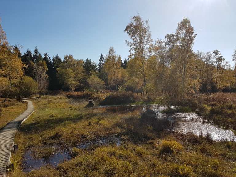 Naturschutzgebiet Struffelt - Roetgen, Aachen | Wandertipps & Fotos