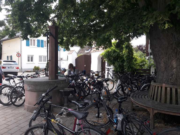 Das Brauhaus Hassloch Rüsselsheim am Main, GroßGerau