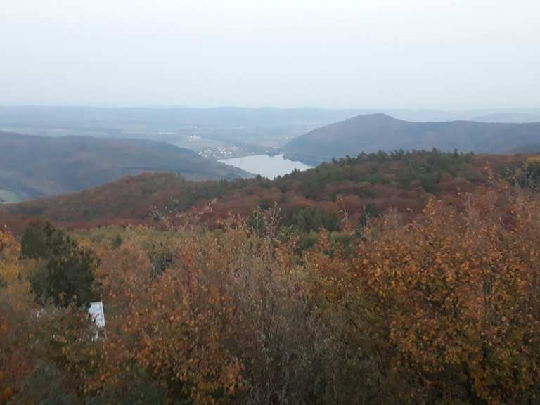 Peterskopf MountainbikeTouren und Trails komoot