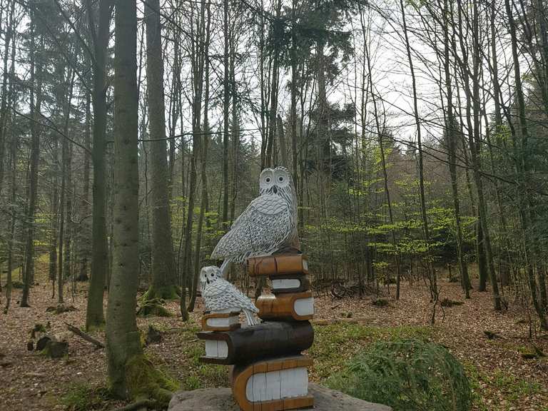 Marchenpfad Kaltes Herz Bad Wildbad Calw Wandertipps Fotos Komoot