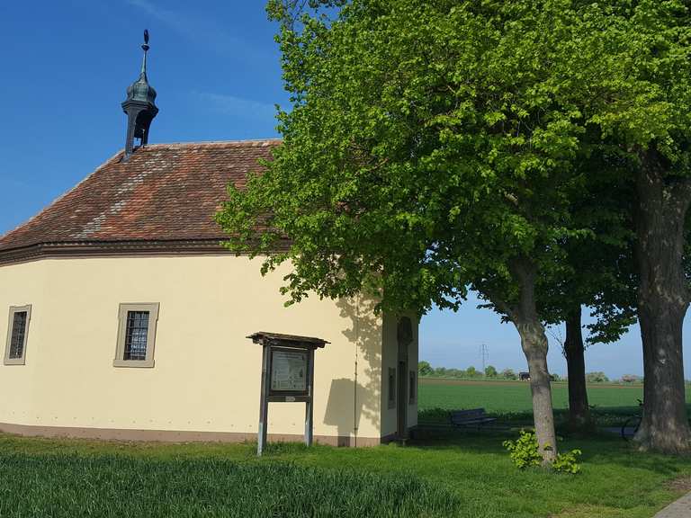 Brauschmiede Mainbernheim Feldkapelle Willanzheim Runde