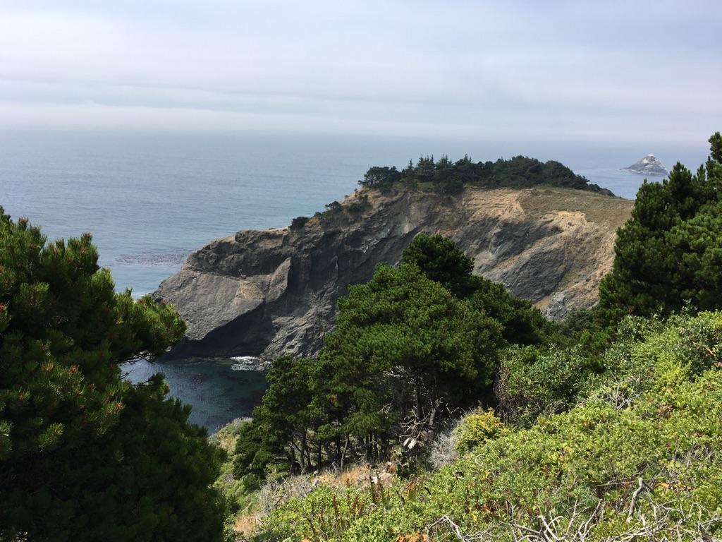 Overcast view of rugged coastal cliffs, dark ocean, and dense evergreen trees.