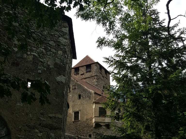 Schloss Dornsberg Wanderungen und Rundwege komoot