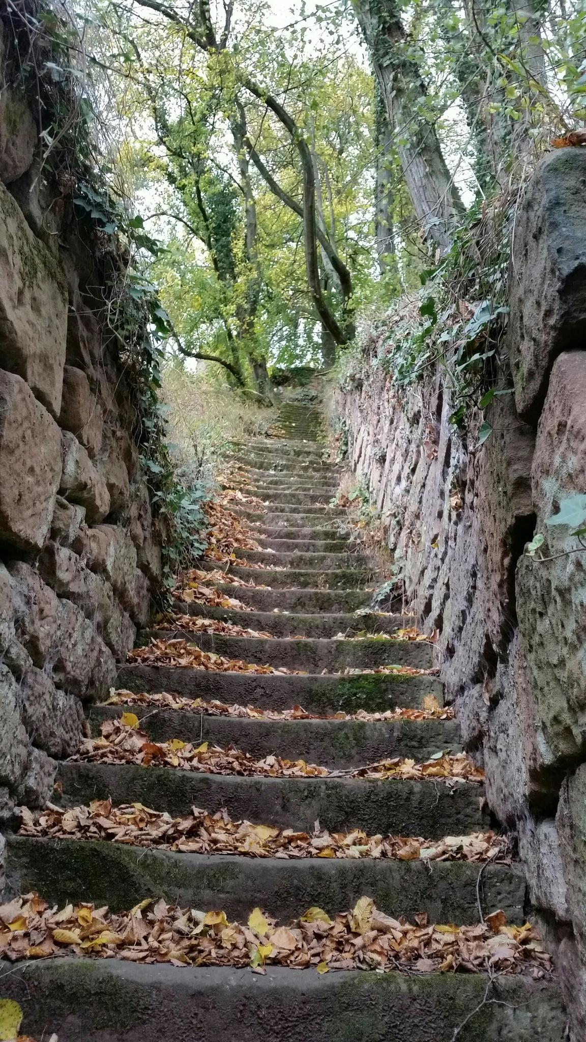 Burgruine Neidenfels: Wanderungen Und Rundwege | Komoot