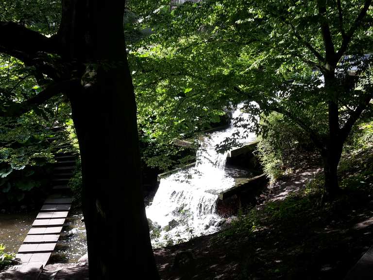 alter botanischer garten hamburg