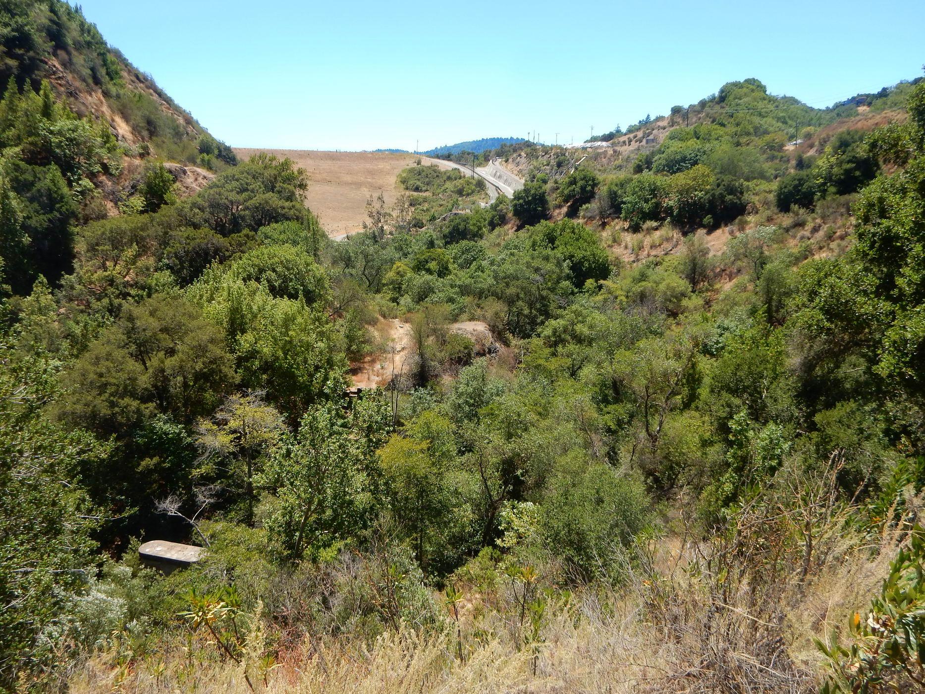 Sunny, hilly valley with dense green foliage, dry grass, and a distant dam.