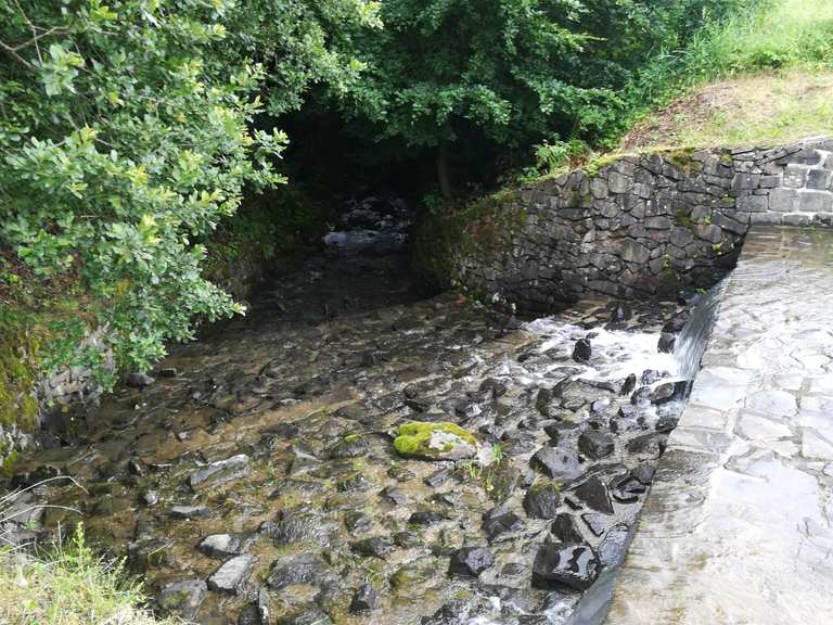 Ziegenberger Teich Wanderungen und Rundwege komoot