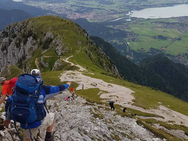 Säuling Gipfel Wanderungen und Rundwege komoot