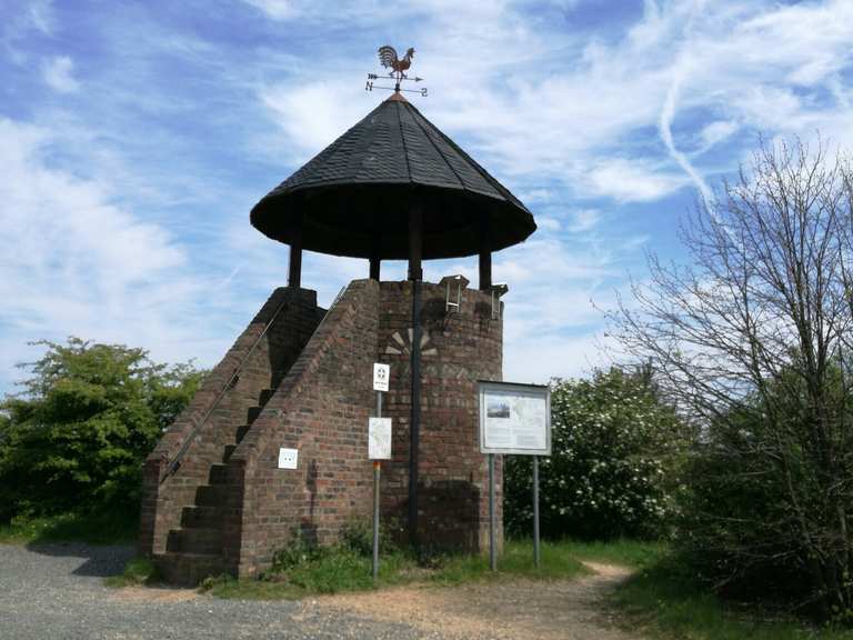 Sophienhöhe Wanderungen und Rundwege komoot