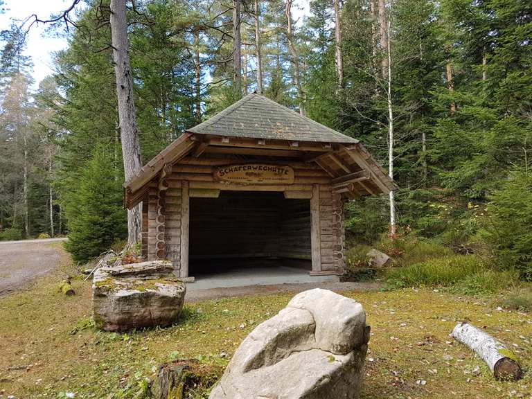 Wildsee – Grünhütte loop from Enzklösterle | hike | Komoot