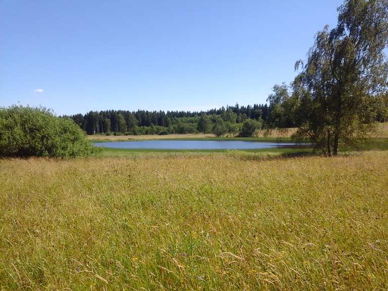 Oberer Weiher / Weiherwiesen MountainbikeTouren und Trails komoot