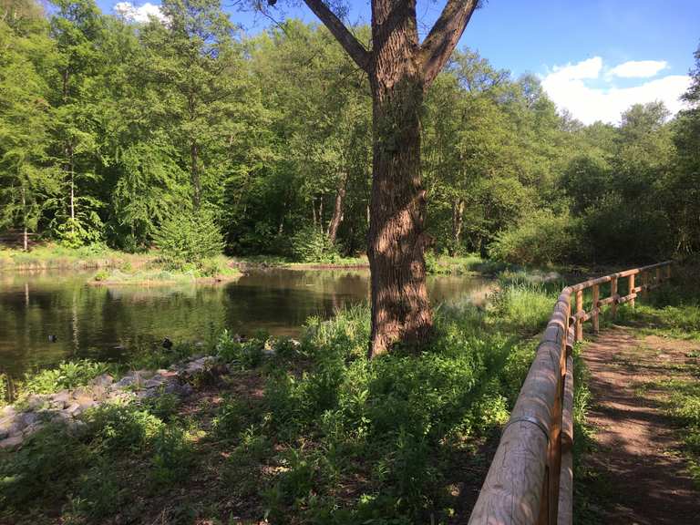 Freizeitpark Oberwaldhaus am Steinbrücker Teich Wanderungen und