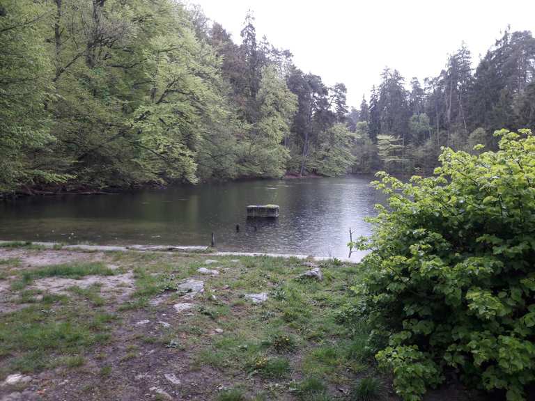 Donoper Teich Wanderungen und Rundwege komoot