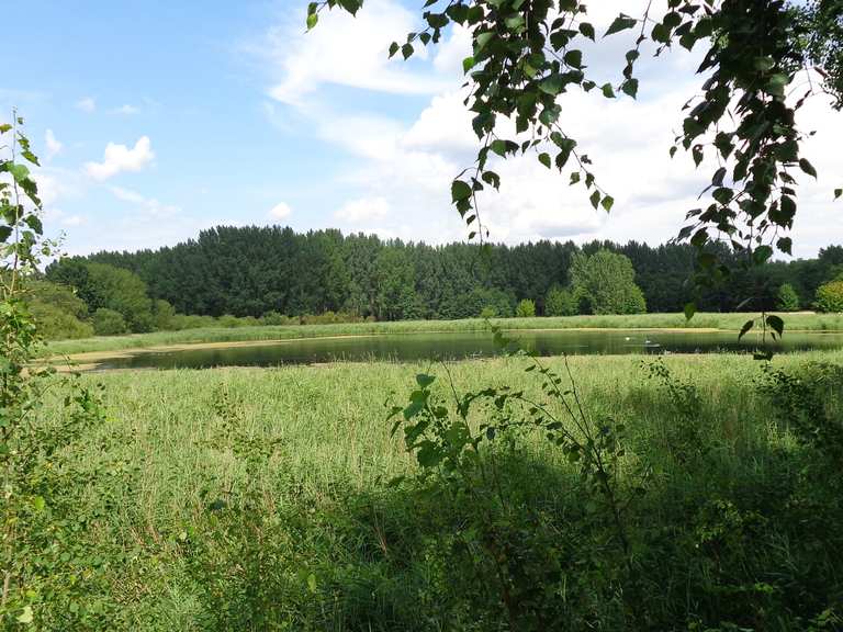 Karower Teiche Wanderungen und Rundwege komoot