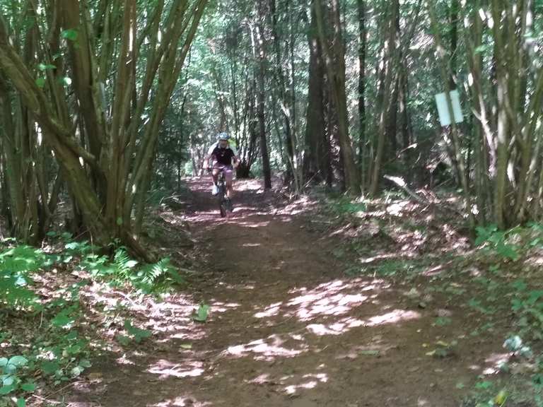 fahrrad bundenthal