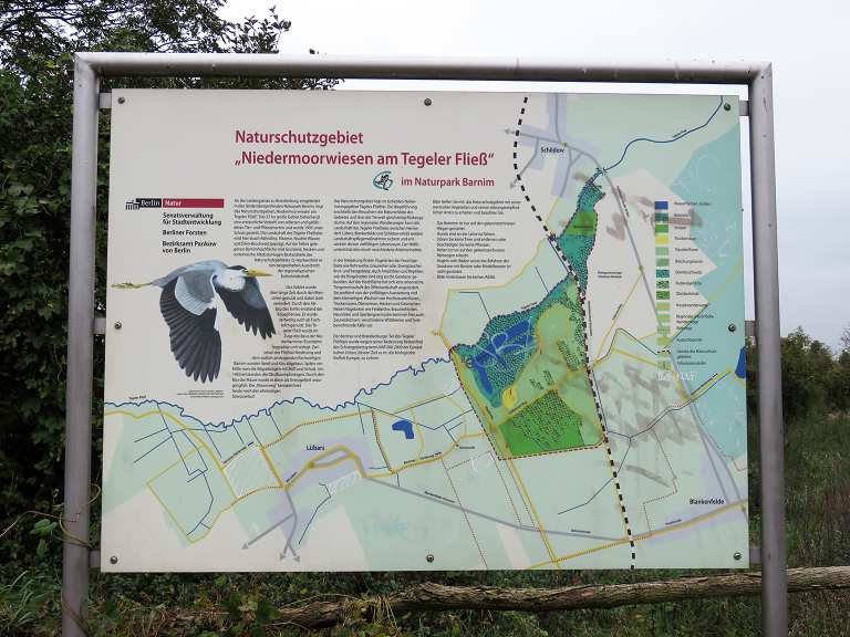 Niedermoorwiesen am Tegeler Fließ: Wanderungen und Rundwege | komoot