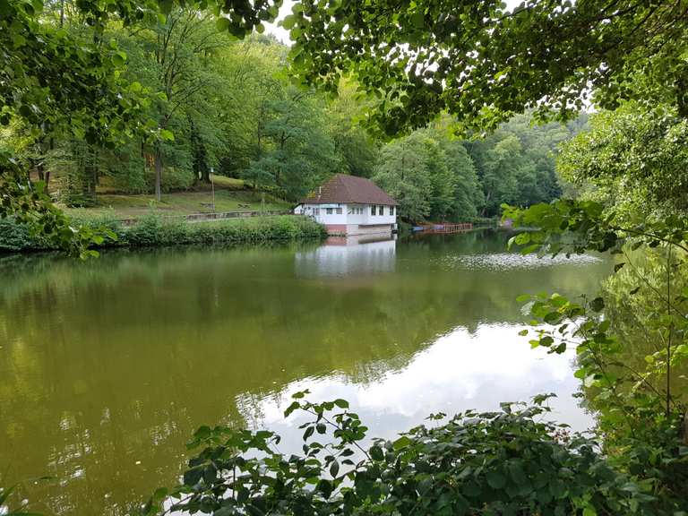 Bärenlochweiher Wanderungen und Rundwege komoot