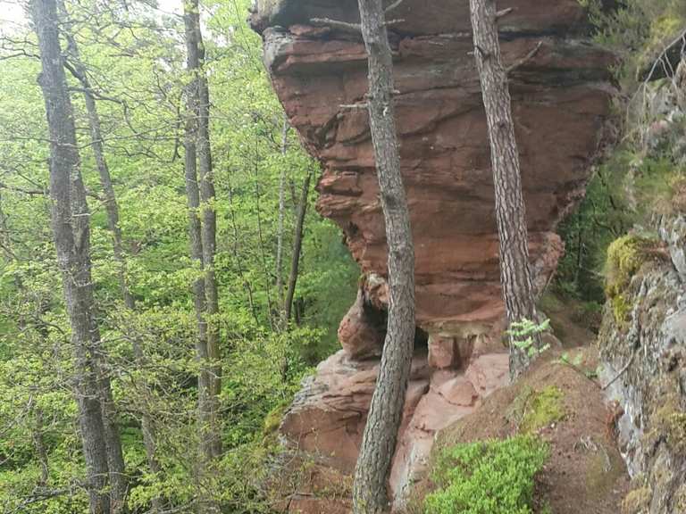 Wachtfelsen Wanderungen und Rundwege komoot