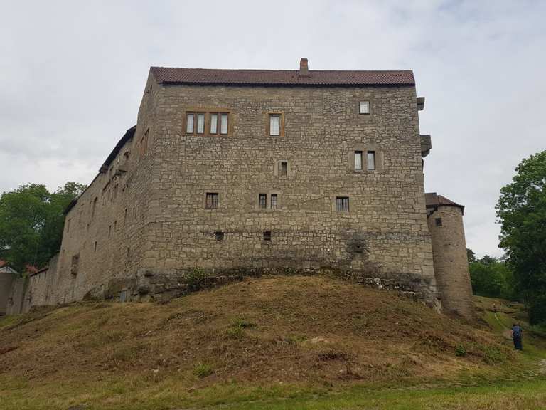Ruine Salzburg Hängebuche 200 Jahre alt Runde von Salz bei Bad